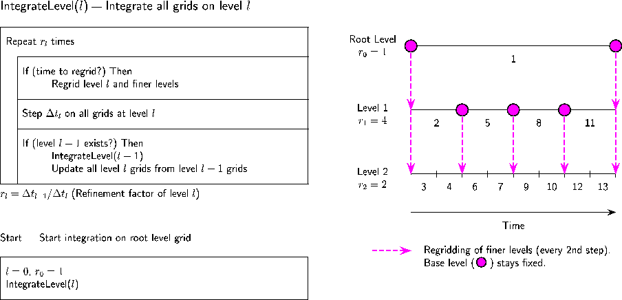 Recursive integration order of the AMR-algorithm.